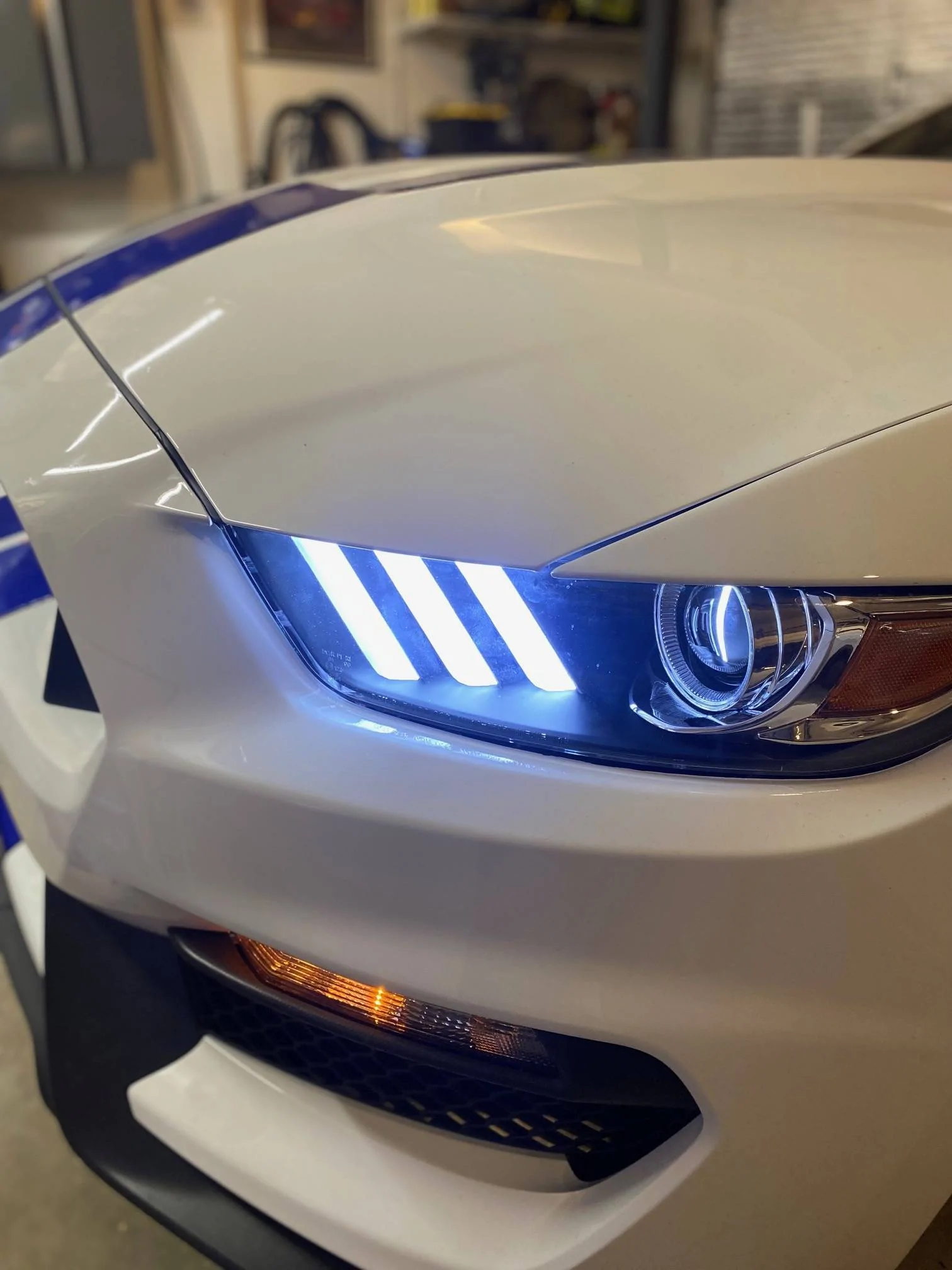 DRL.jpg