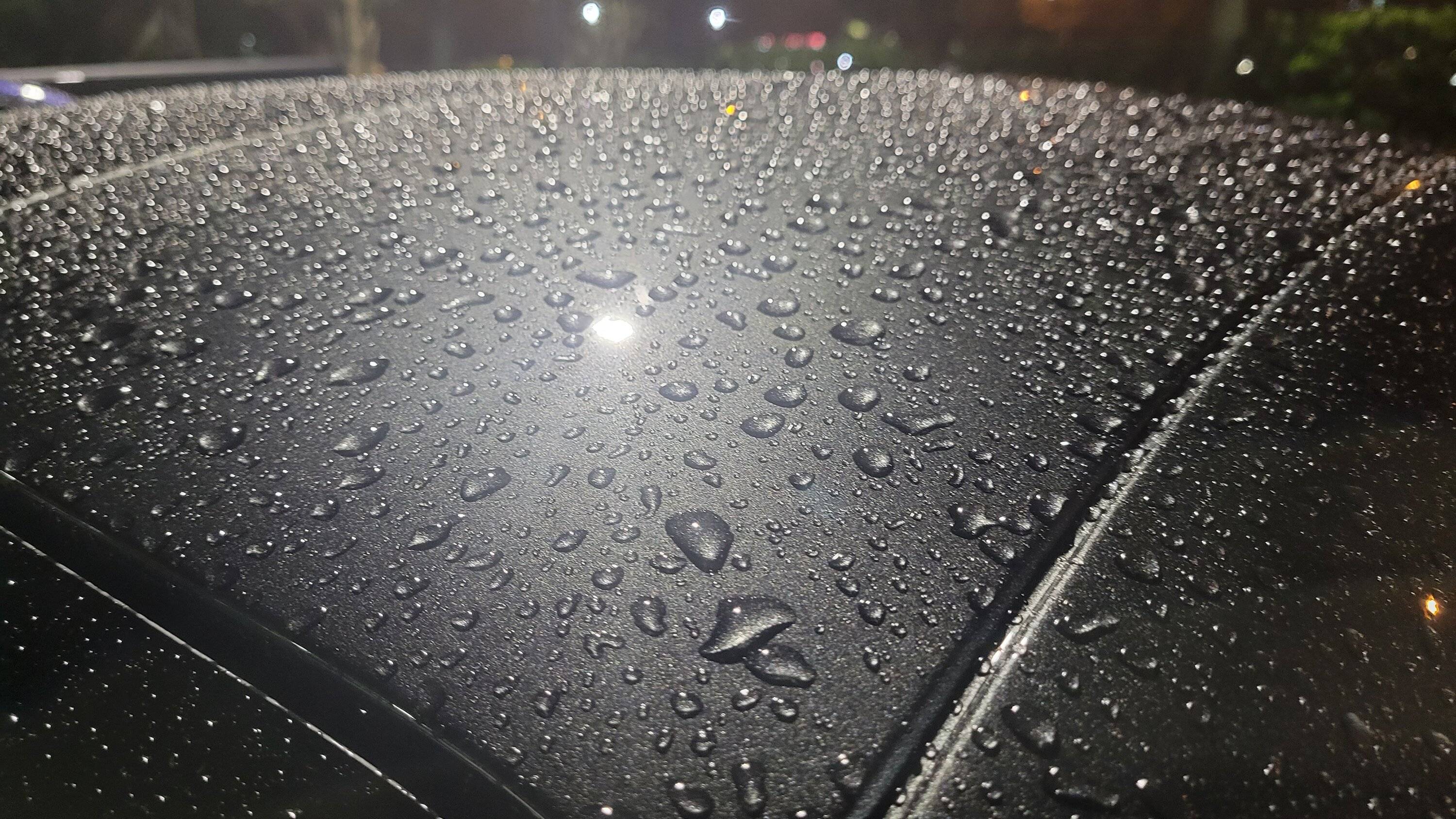 20230319_230111.jpg