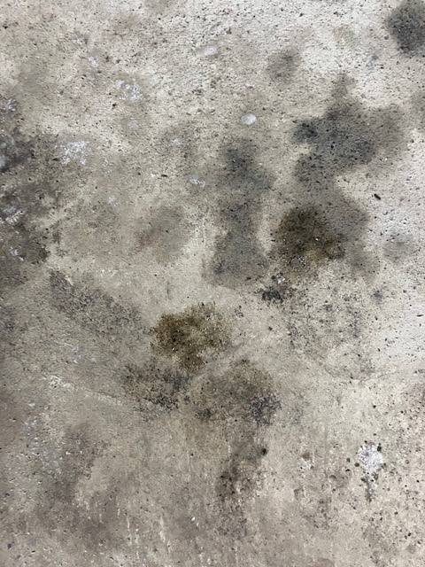 pic1.jpg