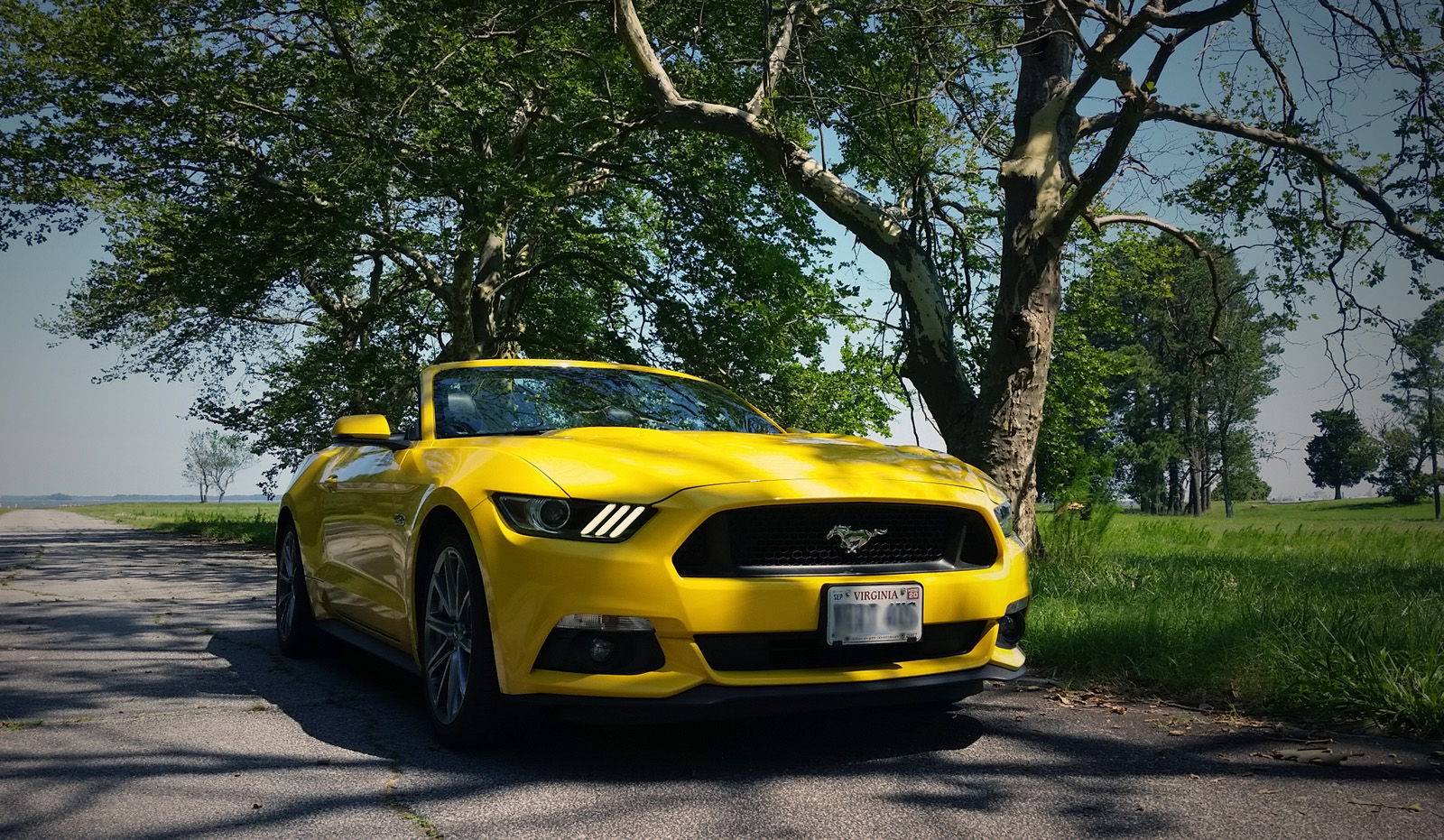 2015 Mustang trees_3_4_passenger_close.jpg