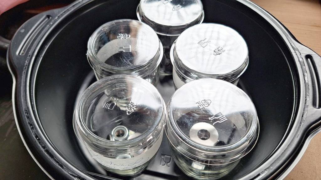 Jars2.jpg