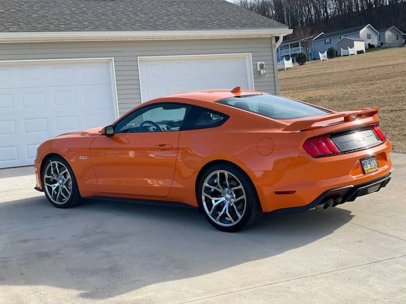 Mustang.jpg
