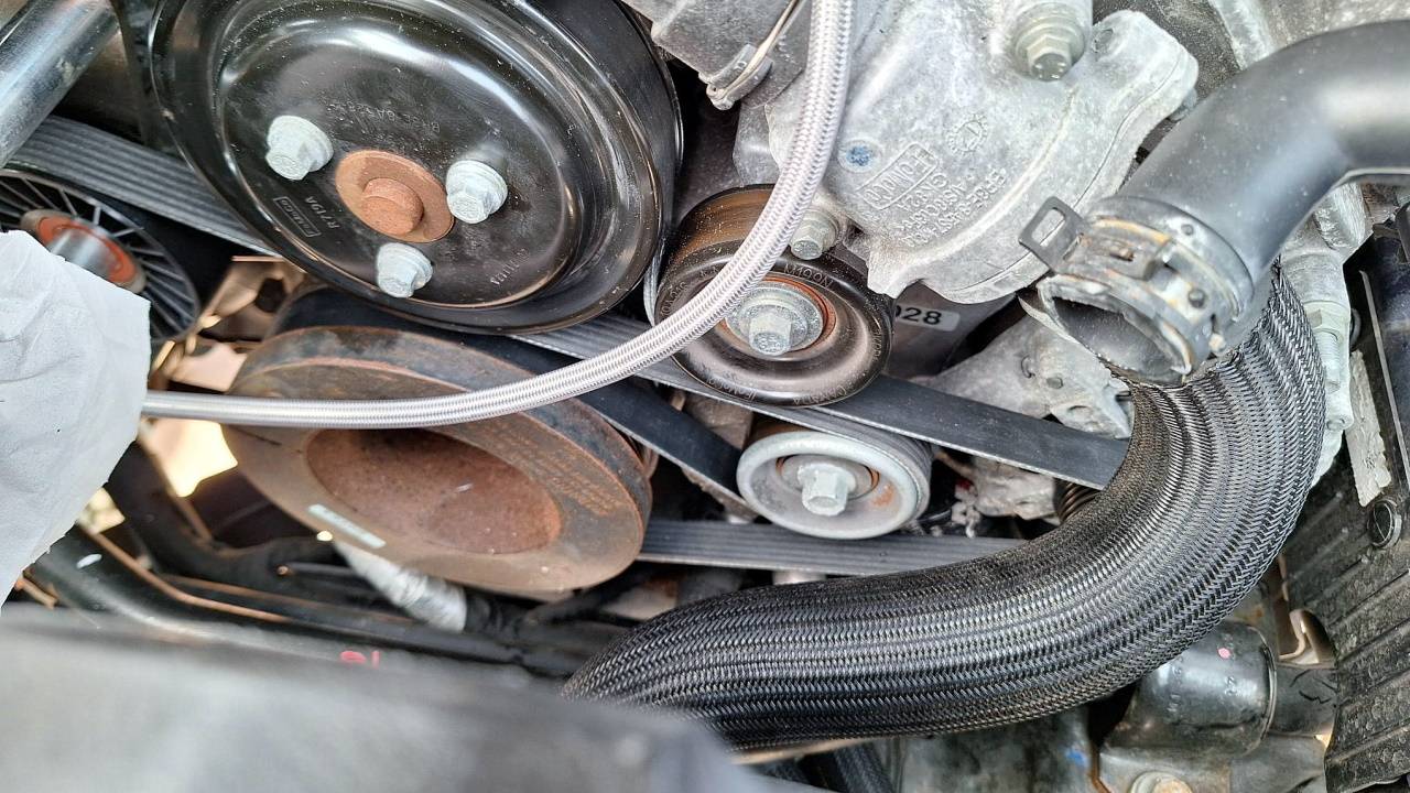 Belt_Fitted.jpg