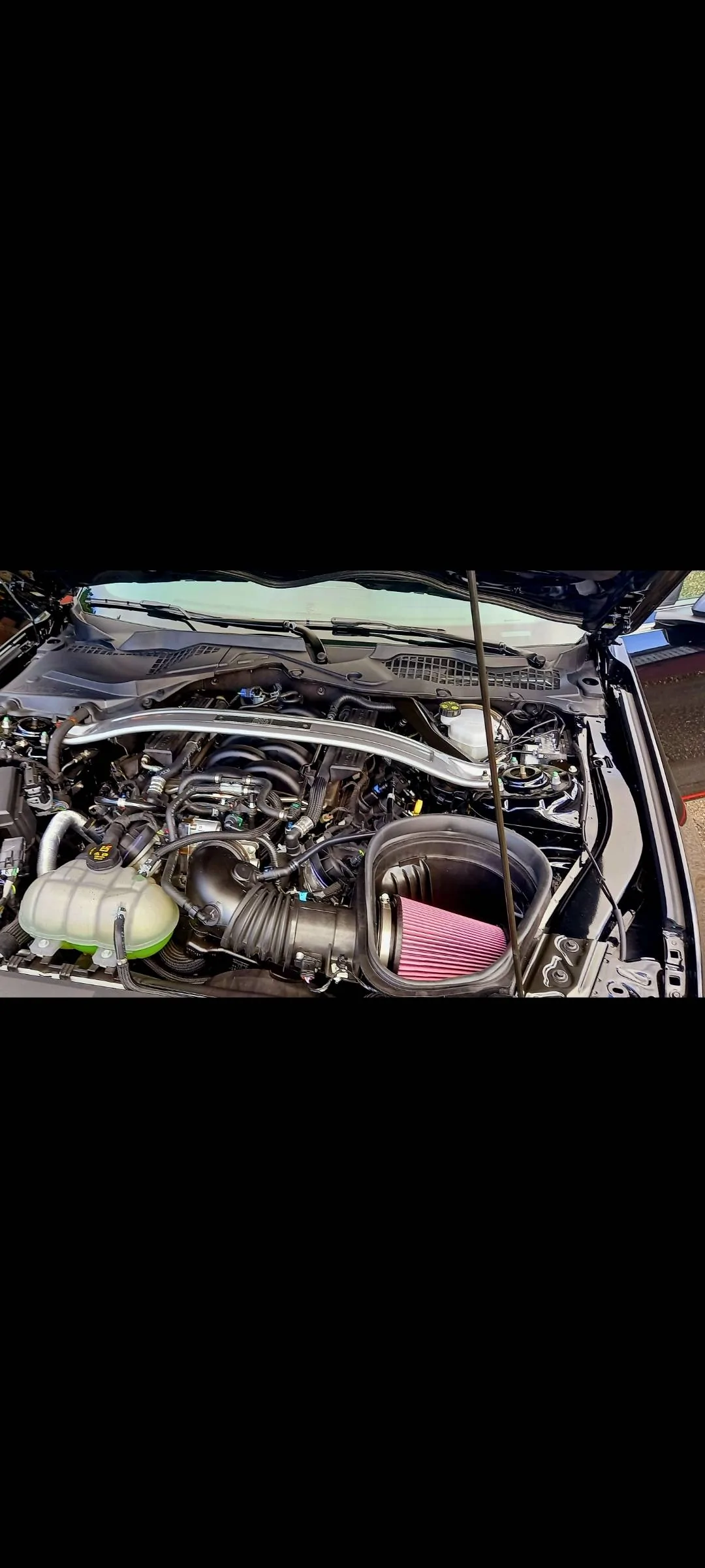 Screenshot_20230217-185453_Gallery.webp