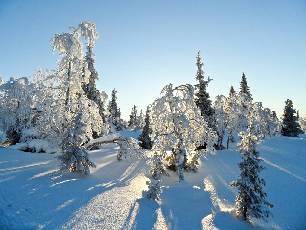 National_Park_10.jpg