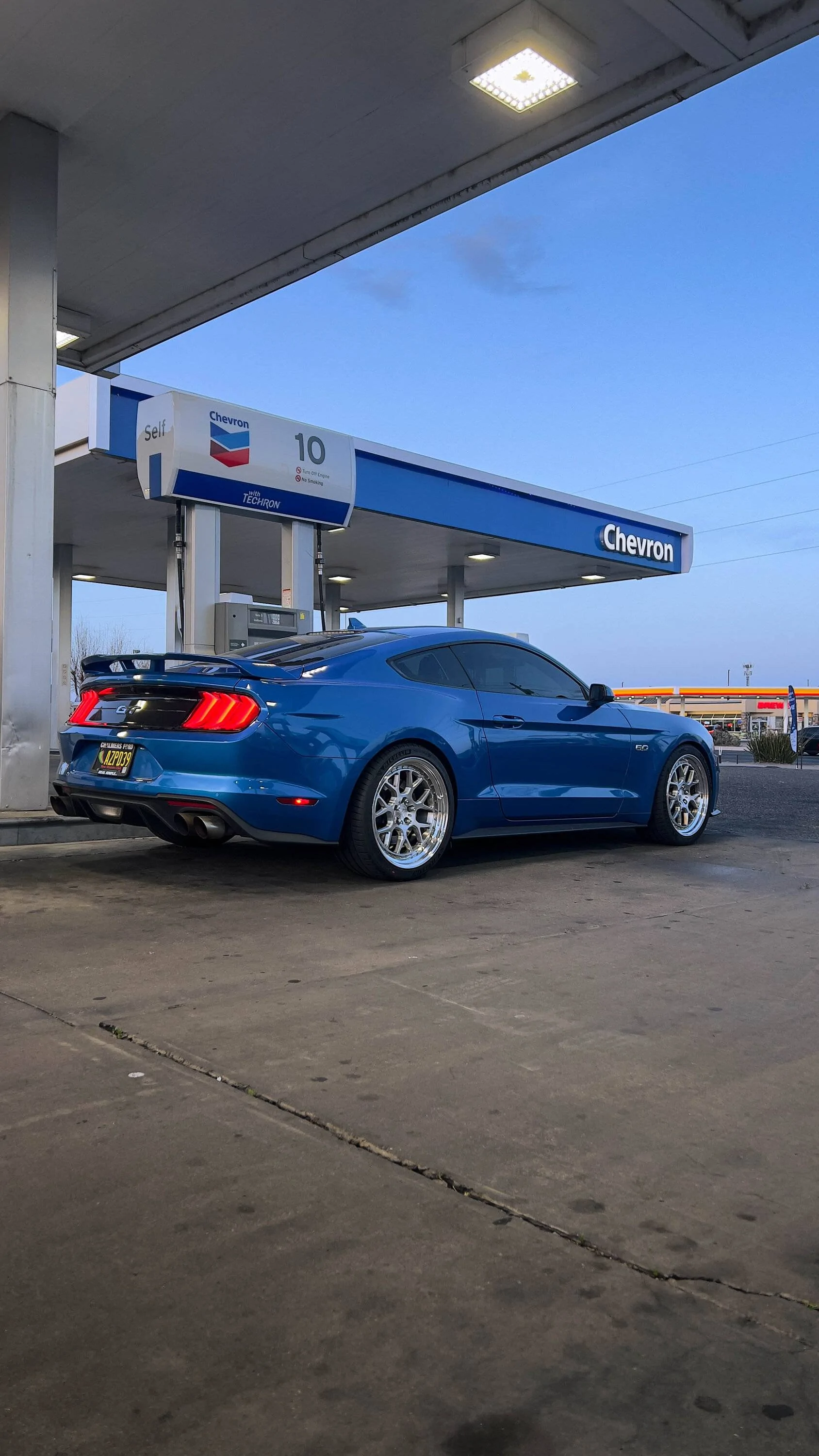 Mustang6GpostEditAprilContest.webp