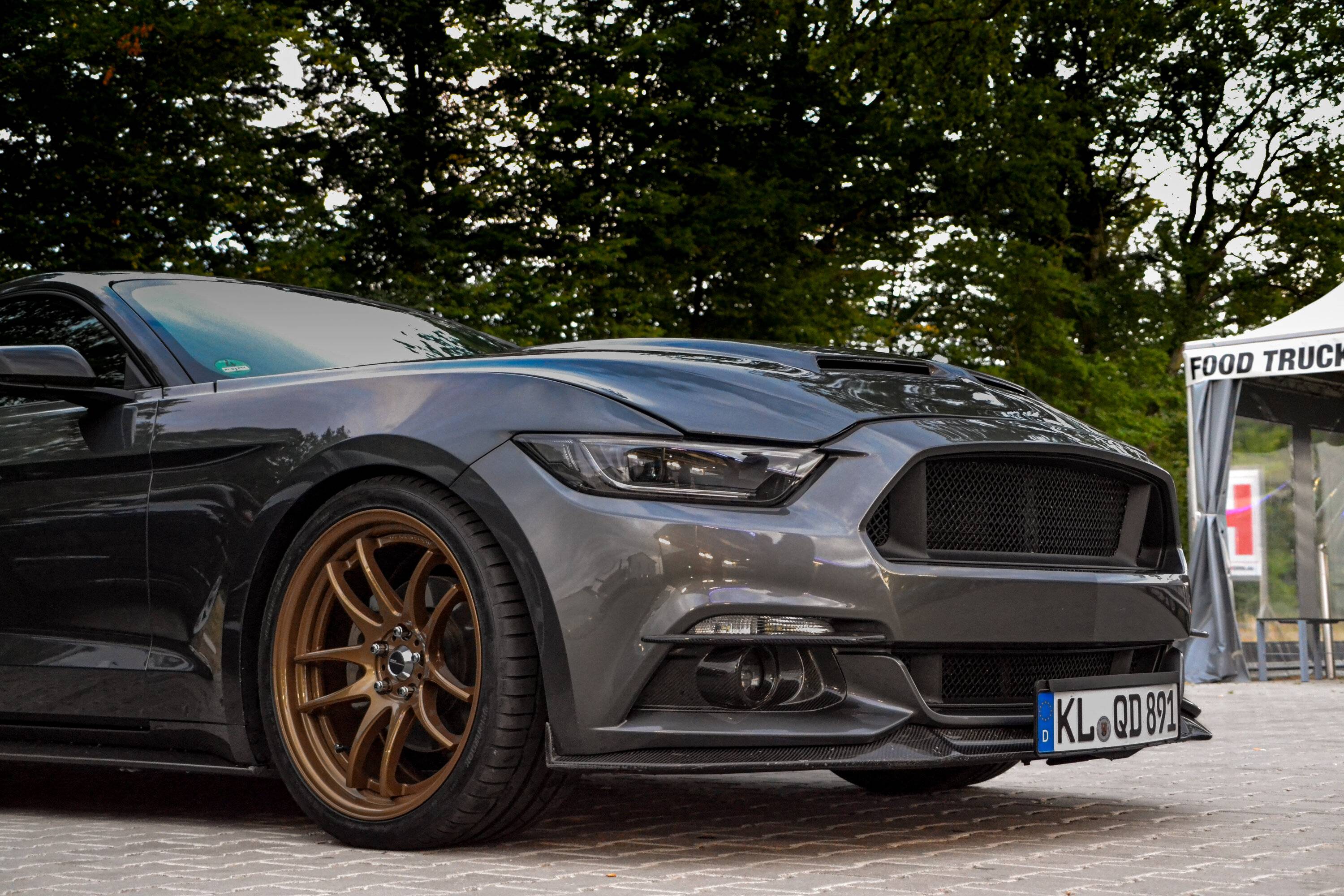 DSC_0449 (1).jpg