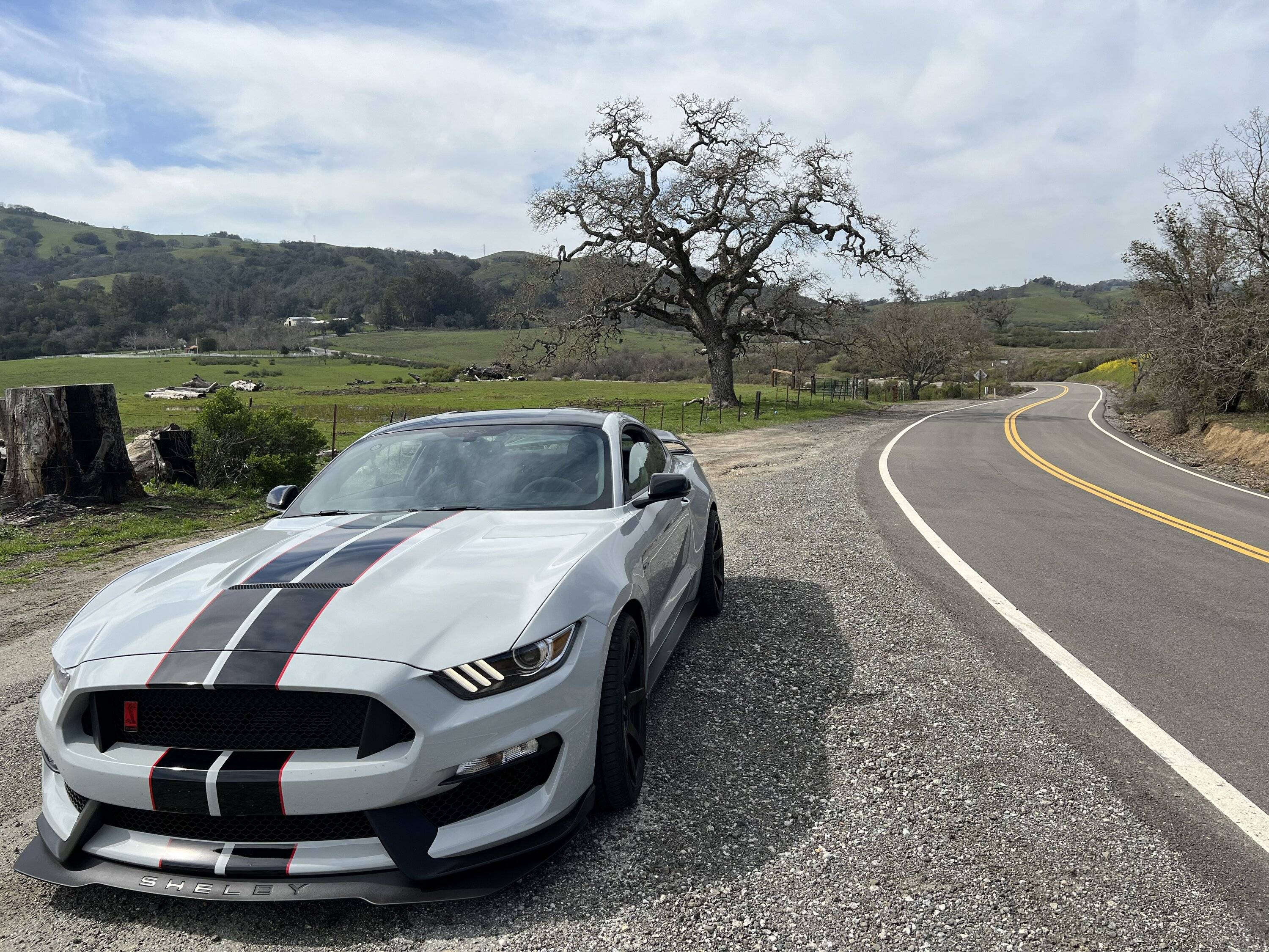 IMG-4692.jpg