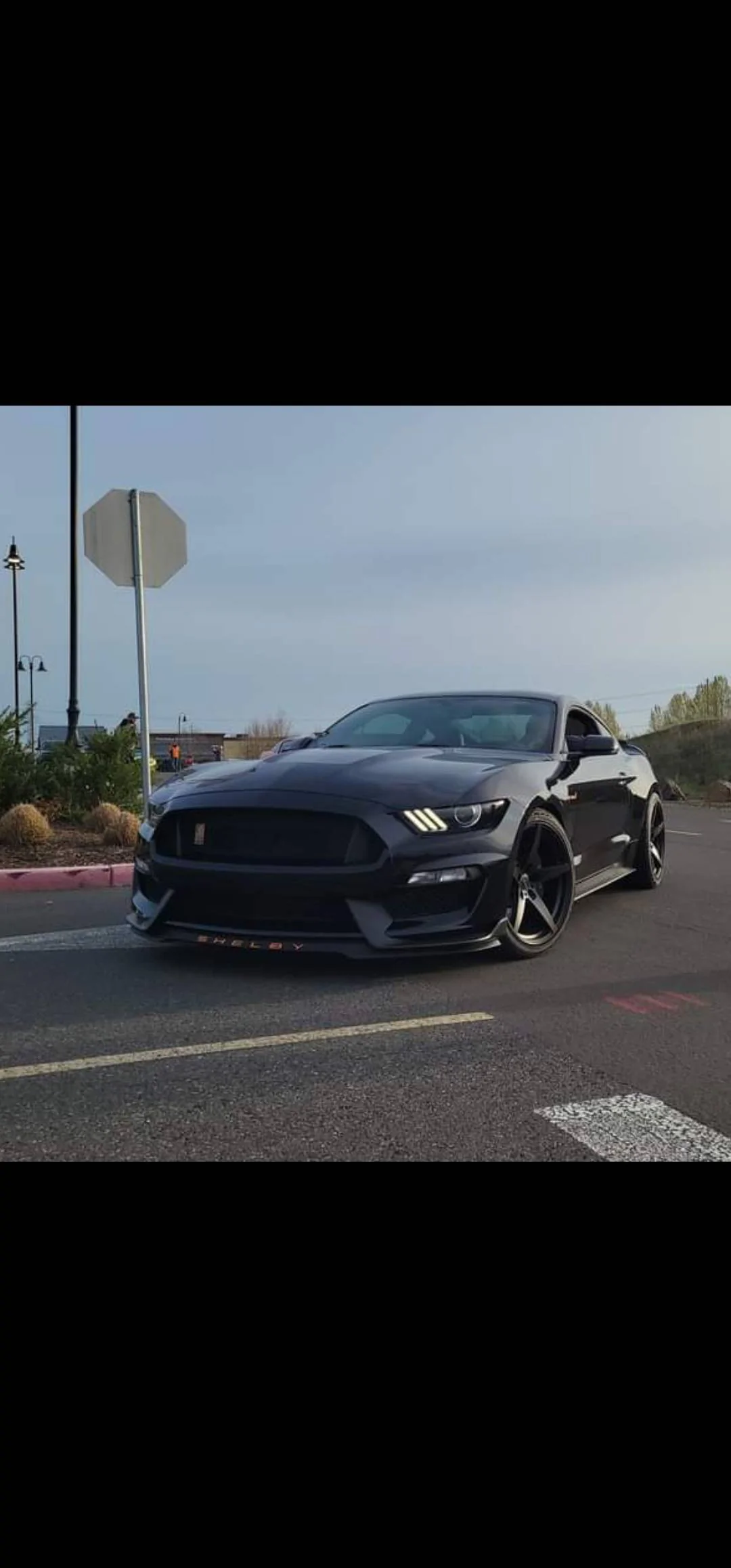 Screenshot_20230418_062504_Gallery.webp