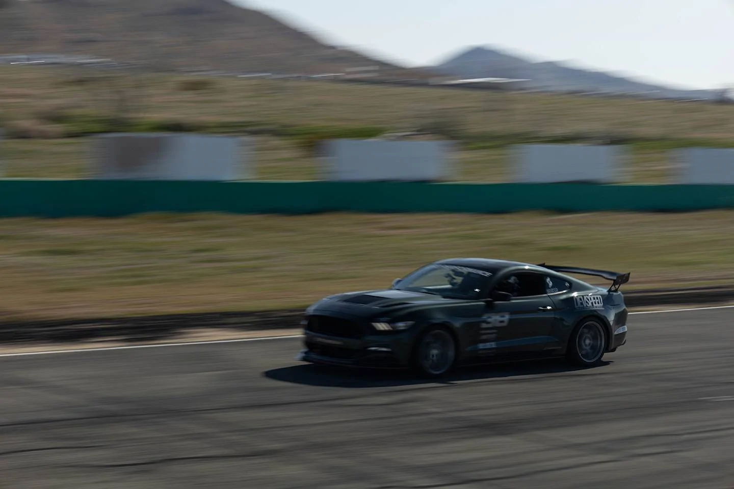 Willow-Springs-4-8-23-LR-43x.jpeg