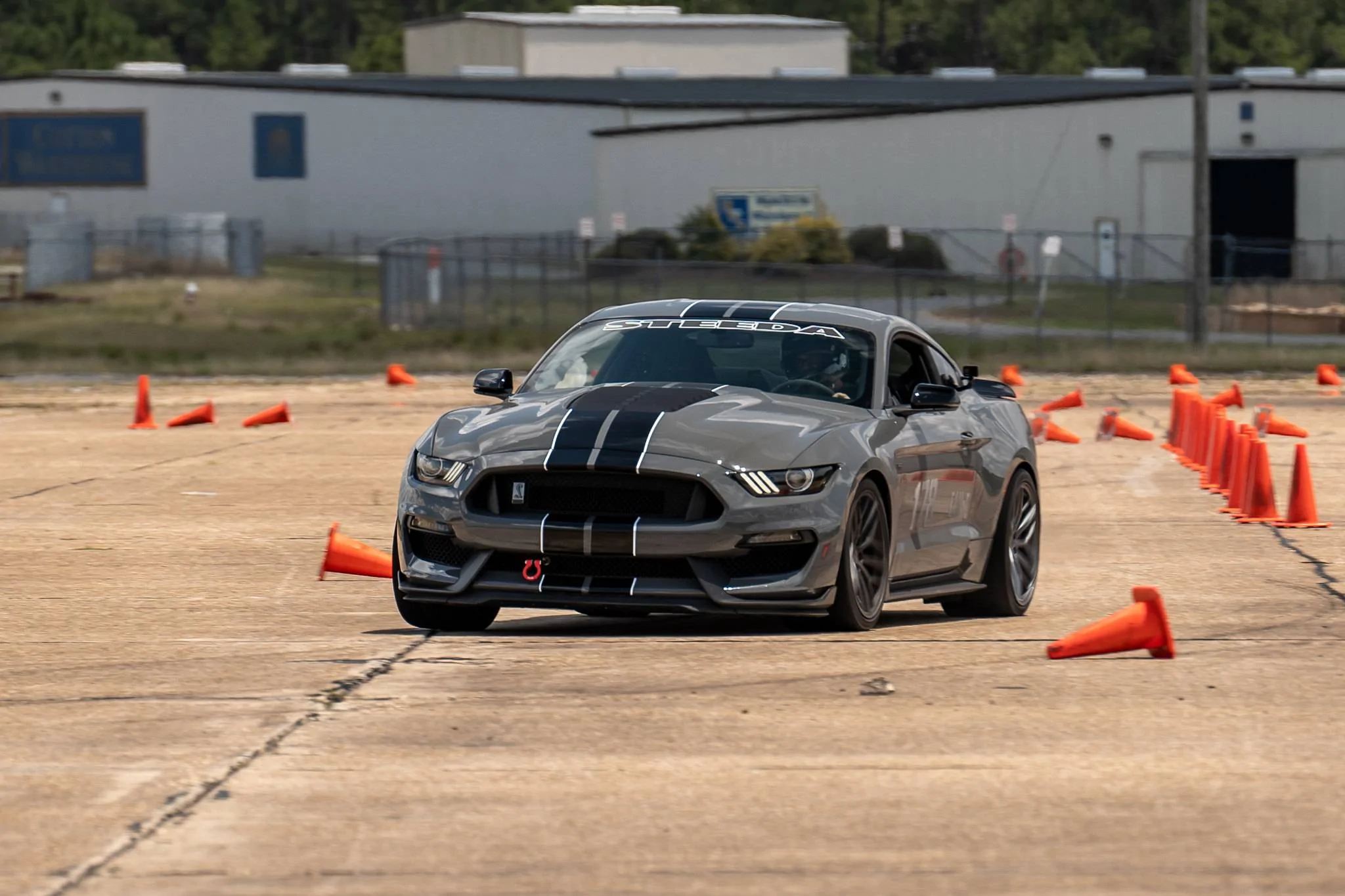52076850345_98f838f99f_k (1).webp
