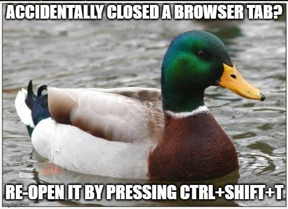 9fa0ba07d2bd6b926e2e59304c0d151f00f4ff5b.webp
