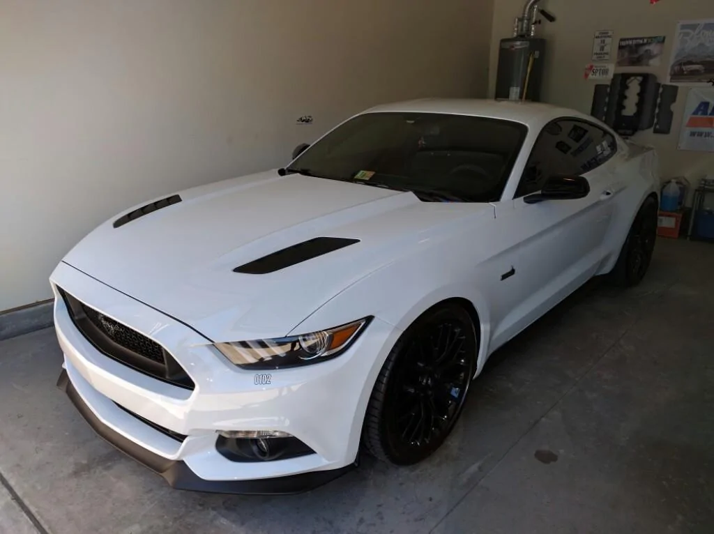 1466278087.IMG_20160618_150254-1024x766.webp