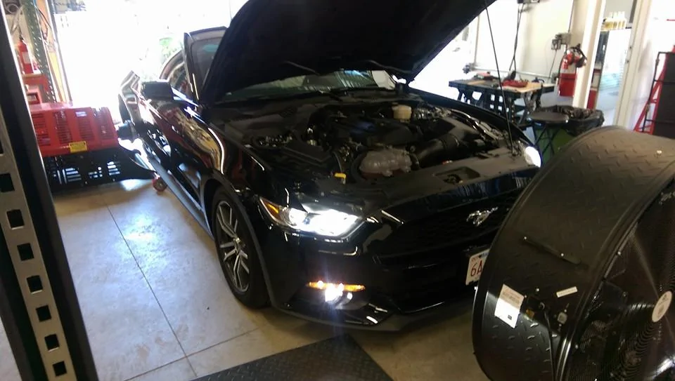 dyno pic.webp
