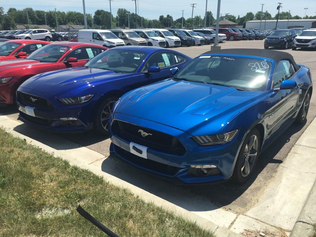 2016-06-18 13.20.52 (Medium).jpg