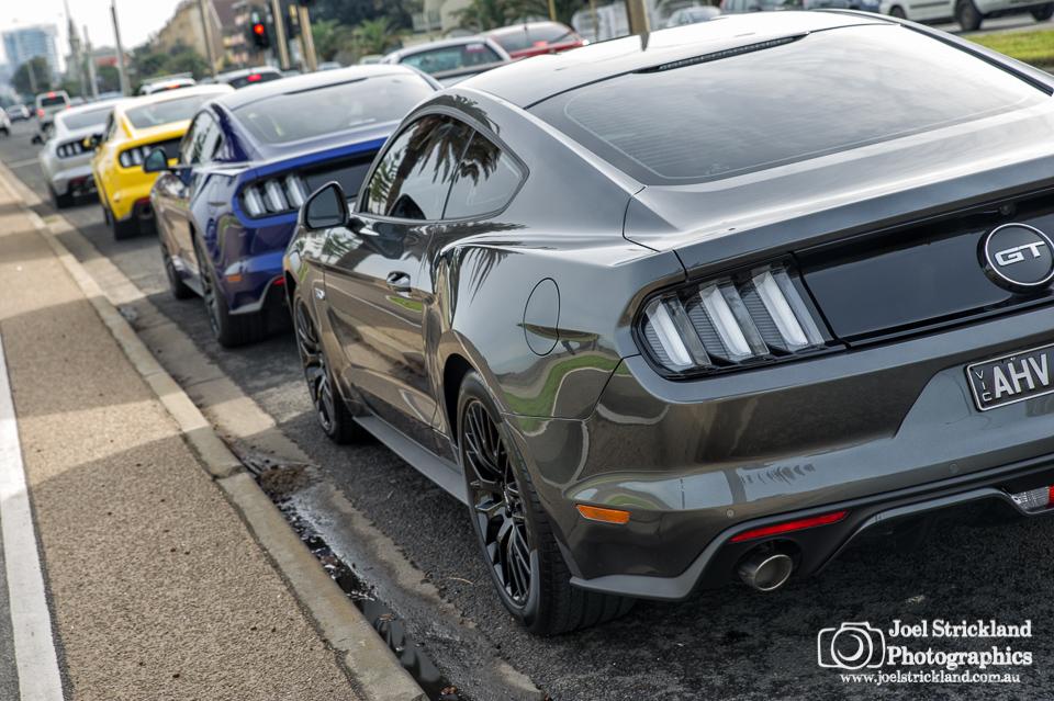 16 Mustang Community Meet June 19 WEB JSP 072.jpg