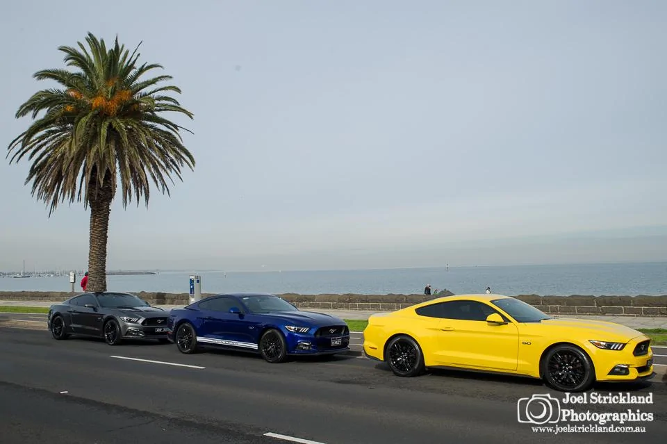 16 Mustang Community Meet June 19 WEB JSP 063.webp
