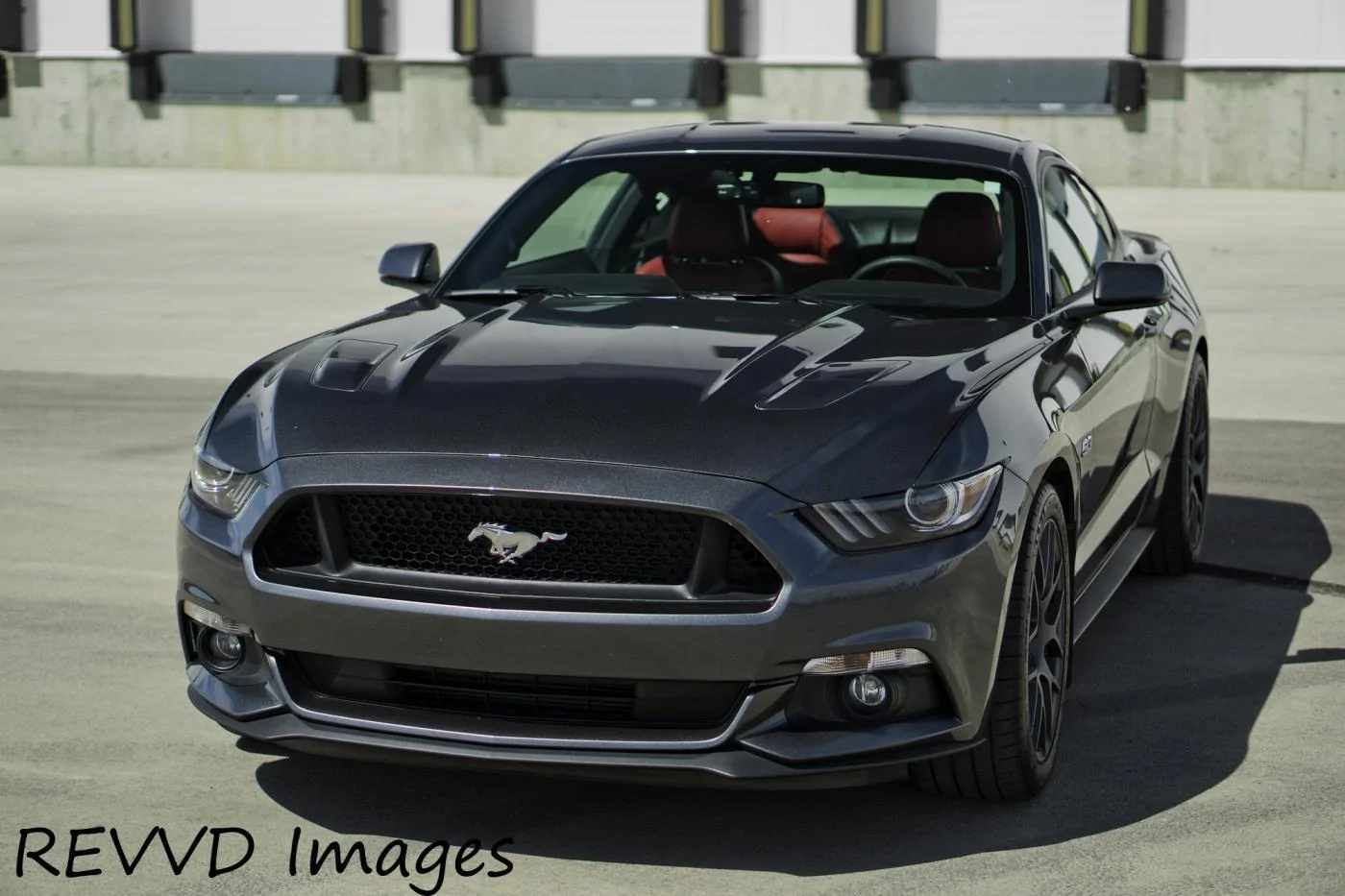 Mustang 1 Revvd.webp