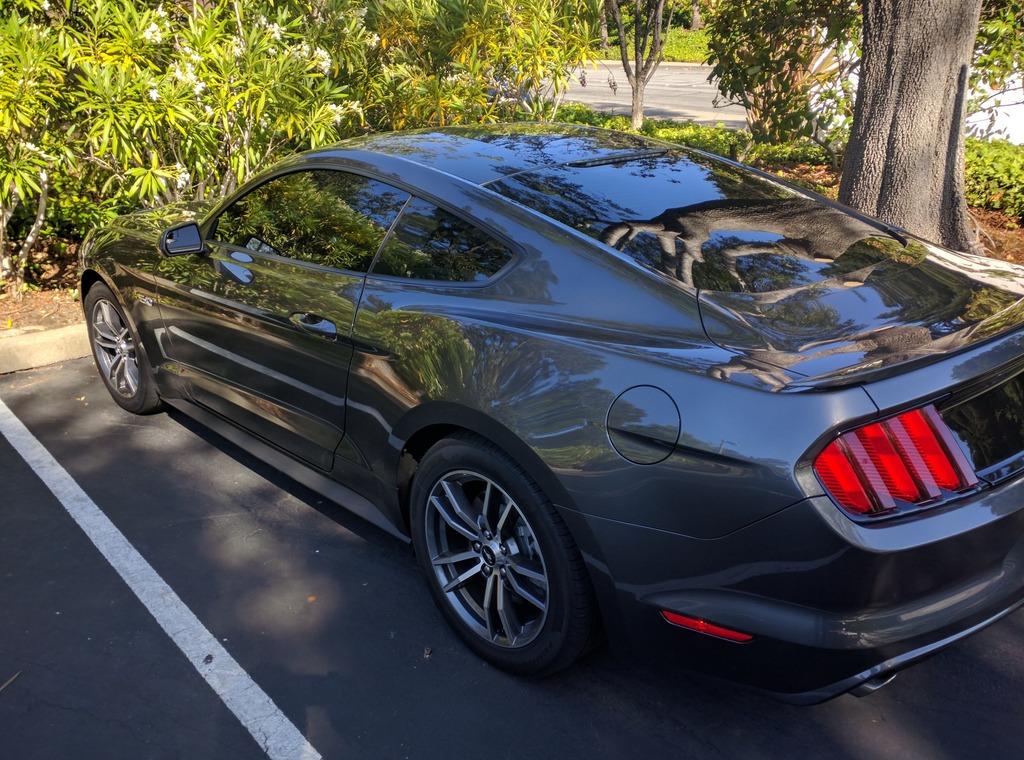 rear%20%203%20quarter%20tint_zpsmogk1pvq.jpg