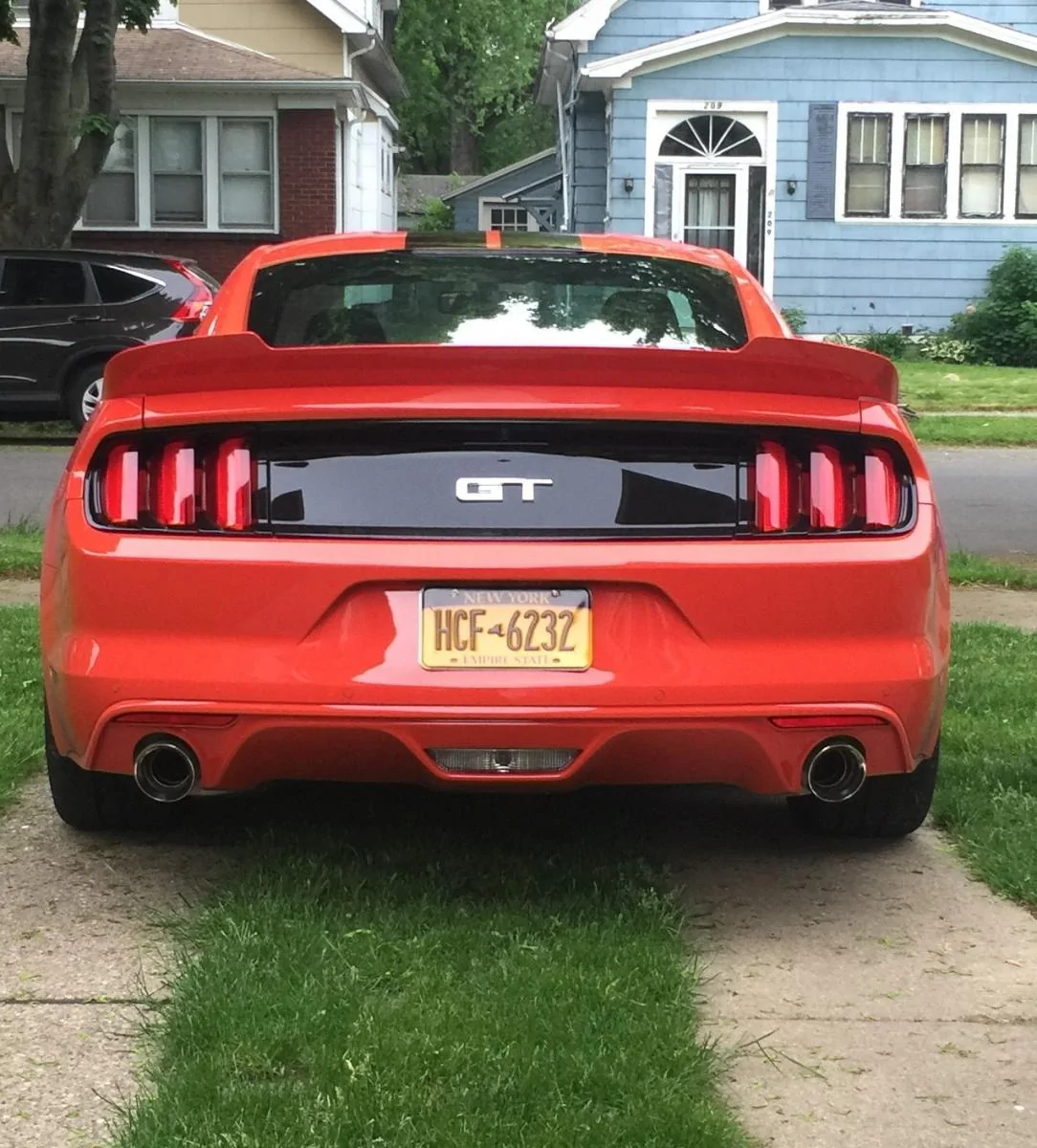 Mustang back 2 (2).webp