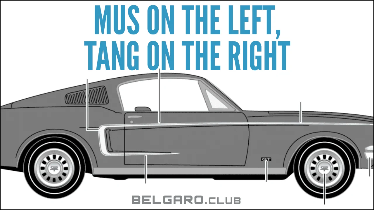 mus-on-the-left-tang-on-the-right-horizo.webp