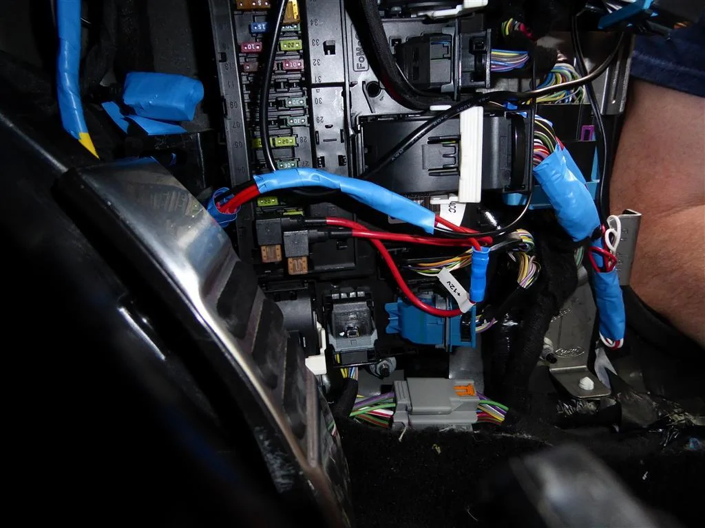 P1010844 (Medium).webp