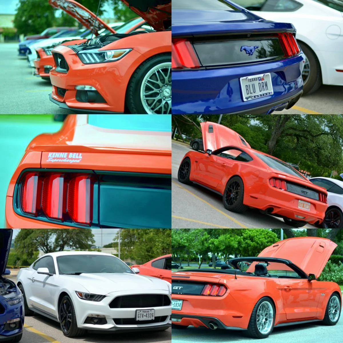 tmp_1925-IMG_20160626_121447-750713087.webp