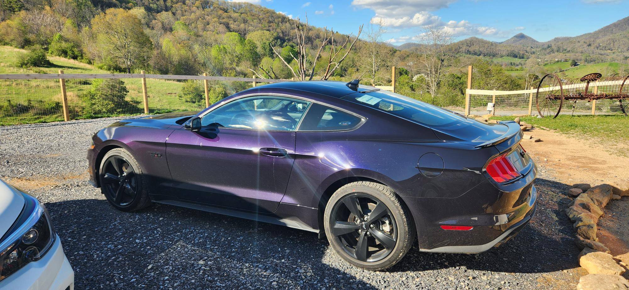 New car.jpg