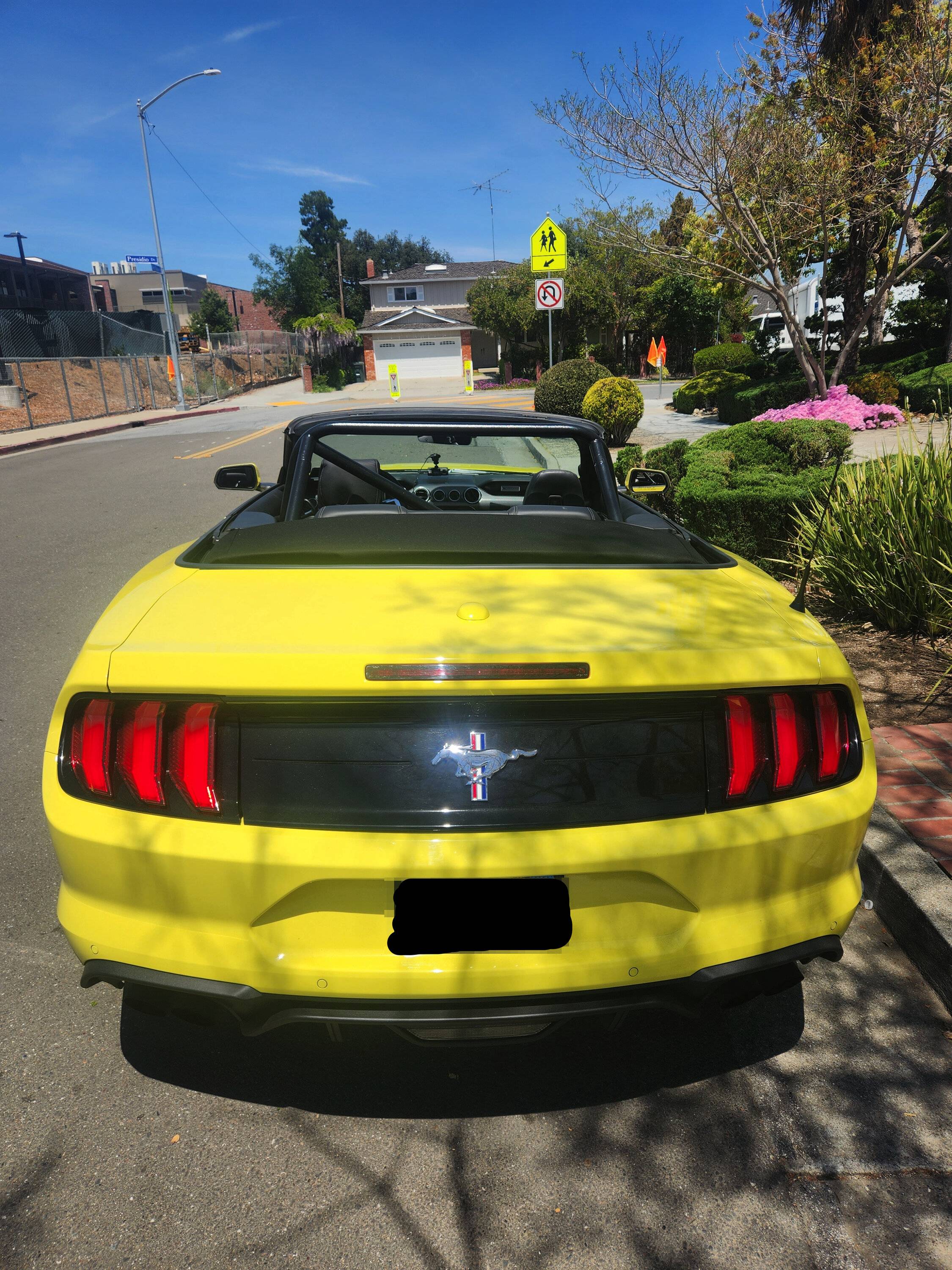 Rear.jpg