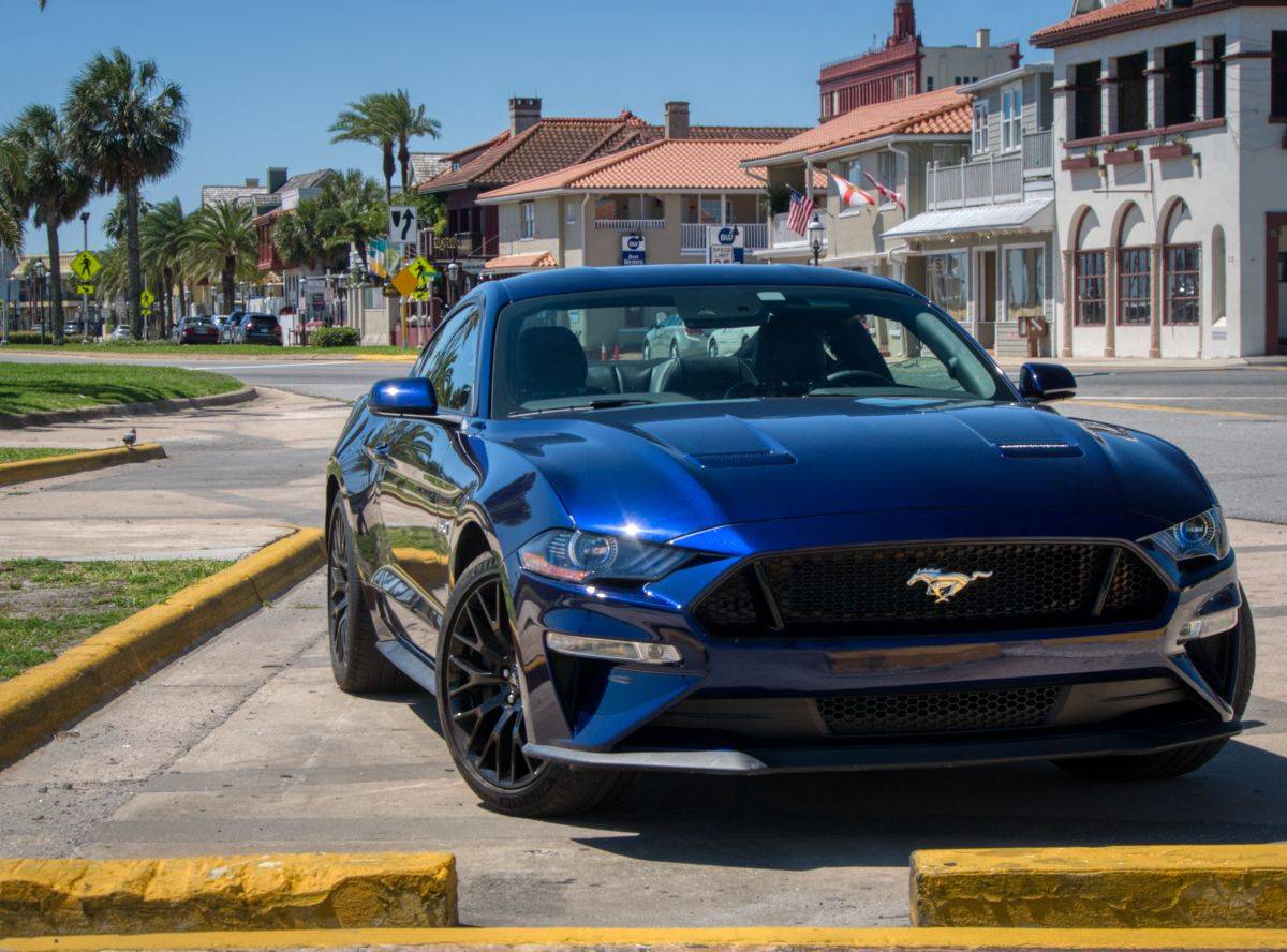 mustang_1330149.jpg