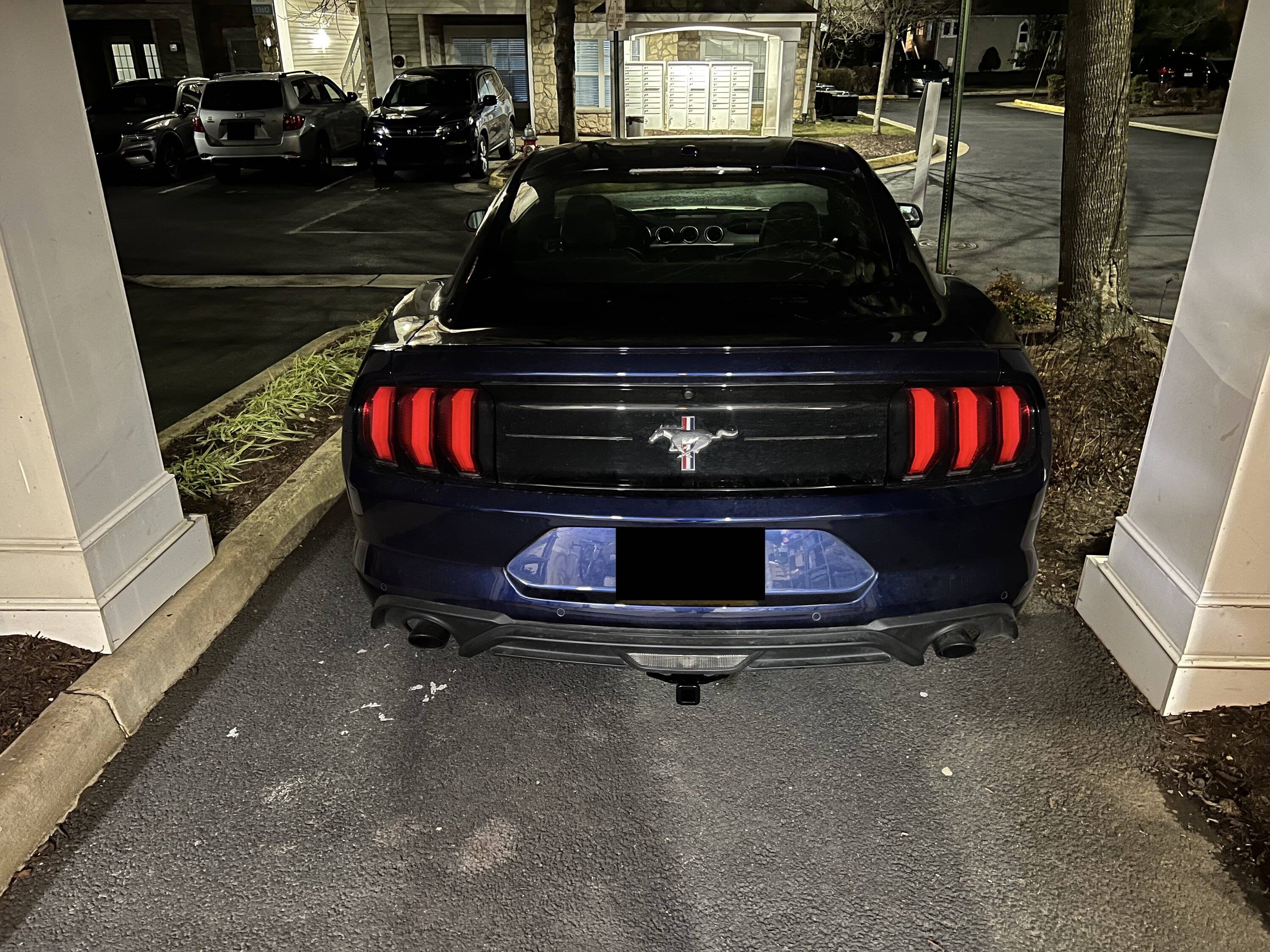 Ford Mustang Curt Hitch No Ball.jpg