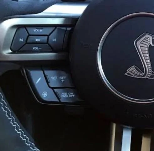 steeringwheel.webp