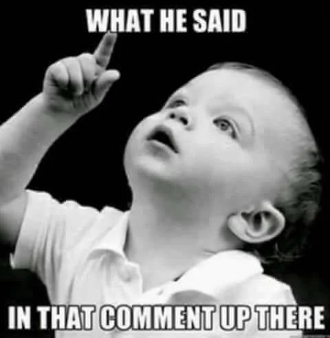What he said.webp