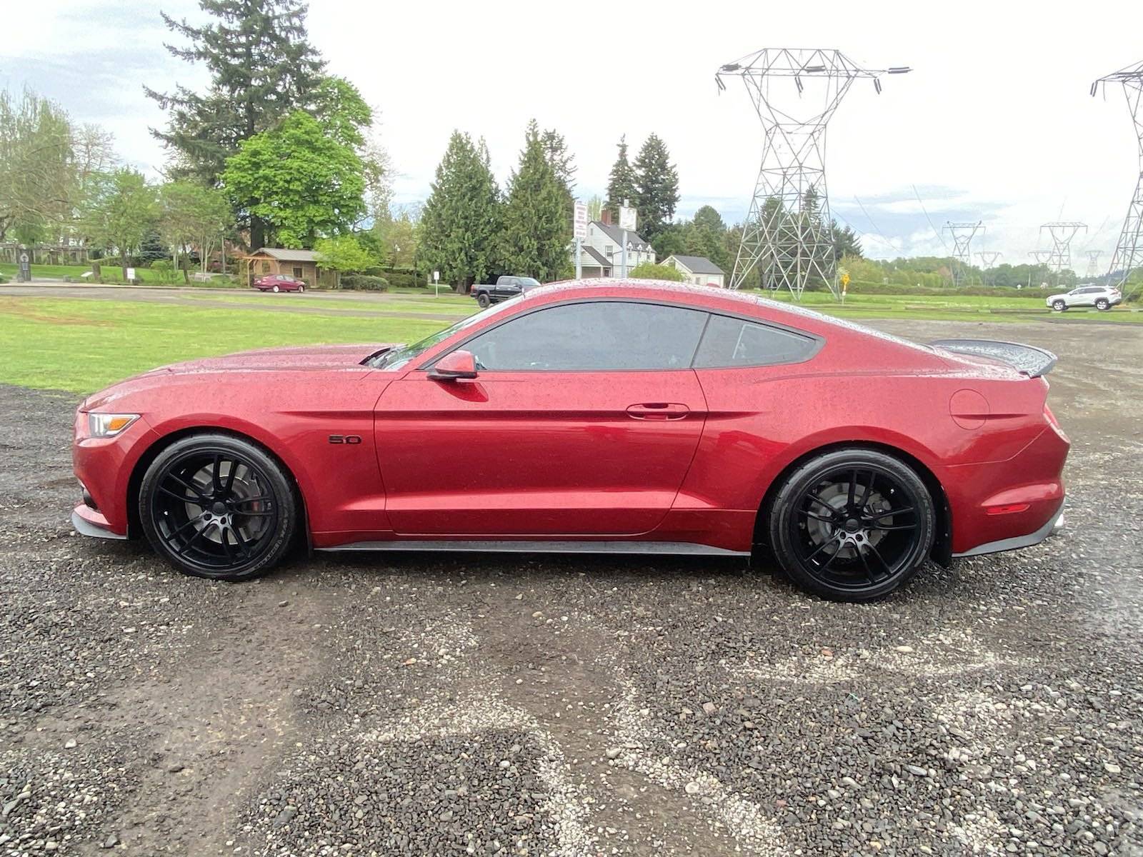Mustang1.jpg