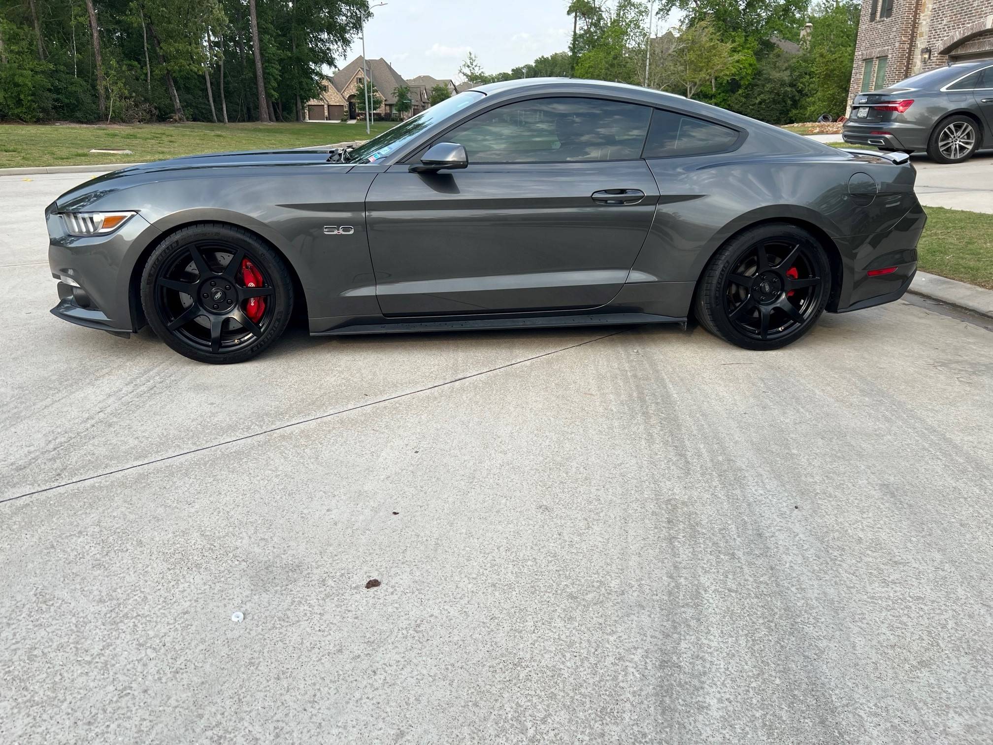 Mustang.jpg