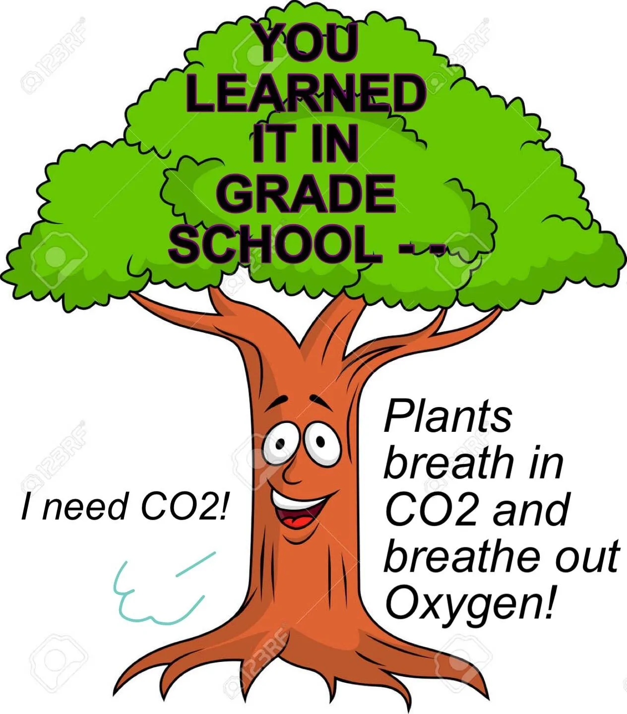 03950DBD-6390-45F2-88B3-97B4CF6DCF90.webp