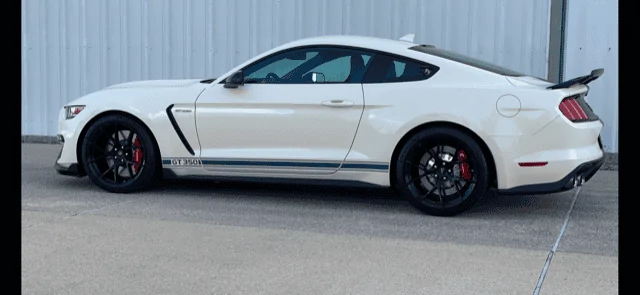 Shelby Forgedlite.webp