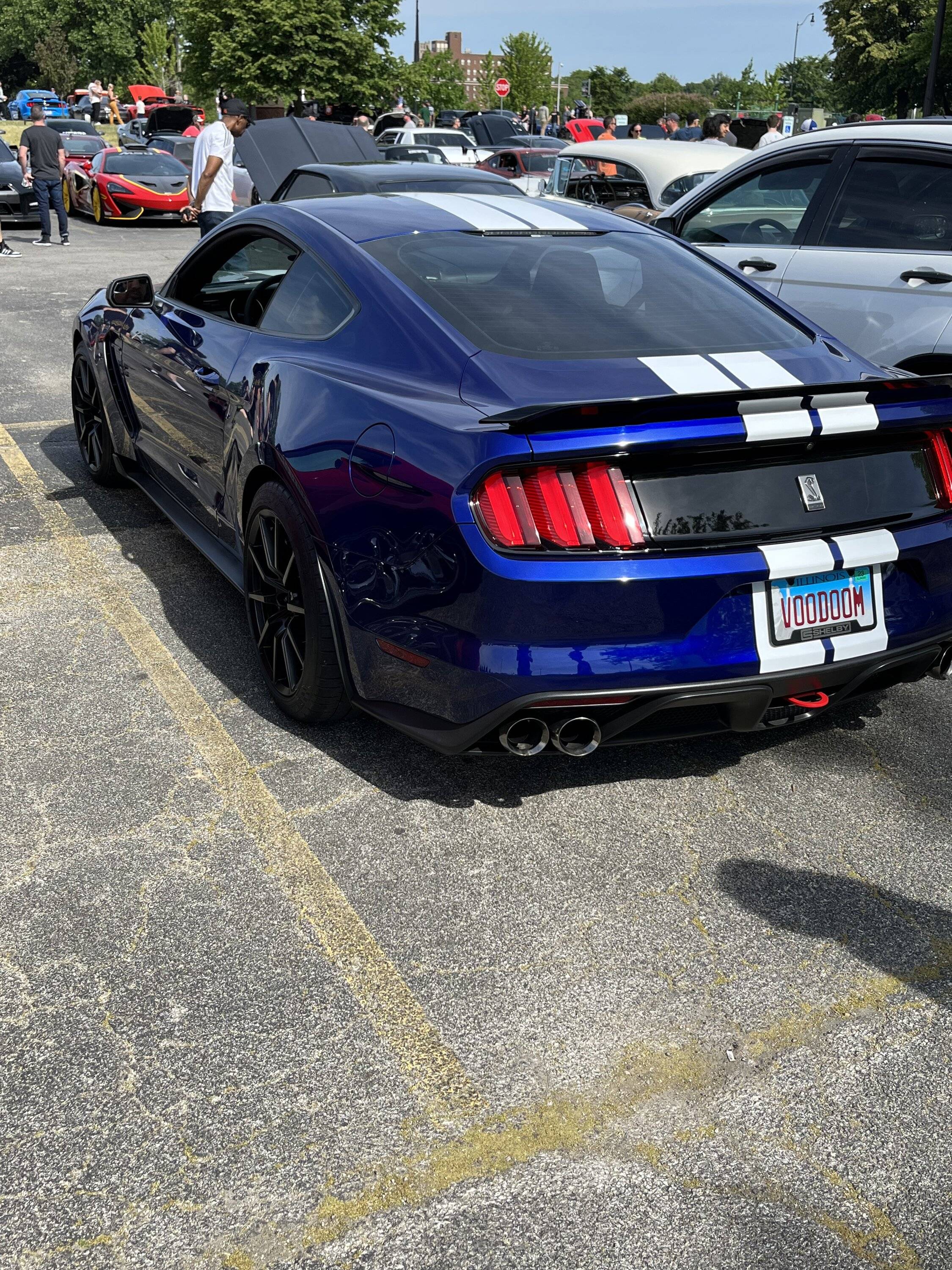 IMG_1577.jpeg