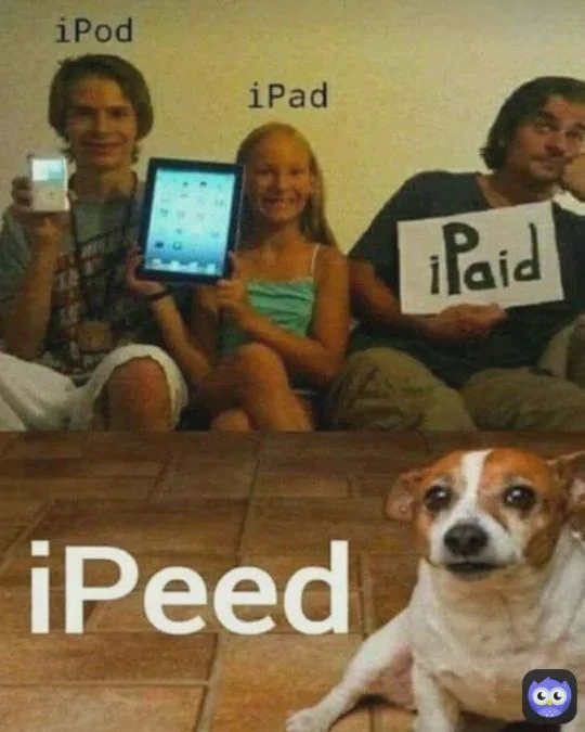 a4ed2cac57326a0b59e20e6ecfcc093fab8adf1d.webp