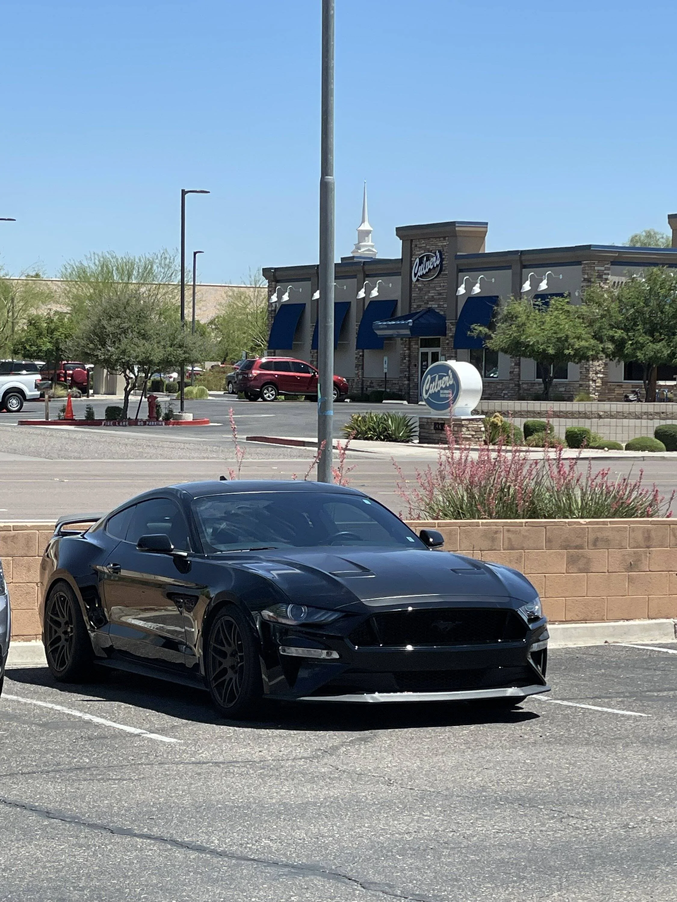 IMG_3572.jpeg