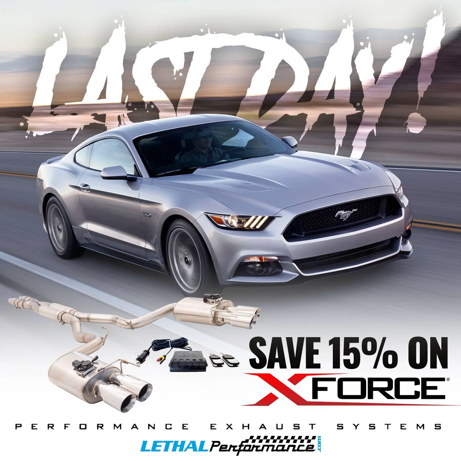 xforce lat mustang.webp