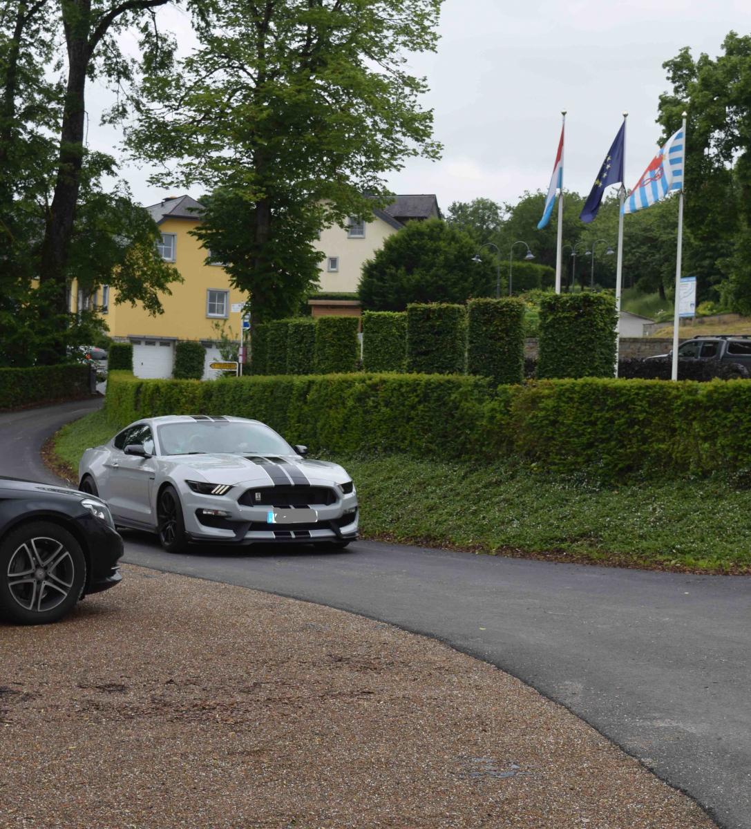GT350 Europe meet.jpg