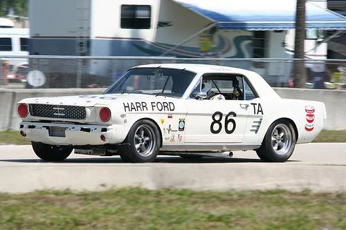 gt350shelby.webp