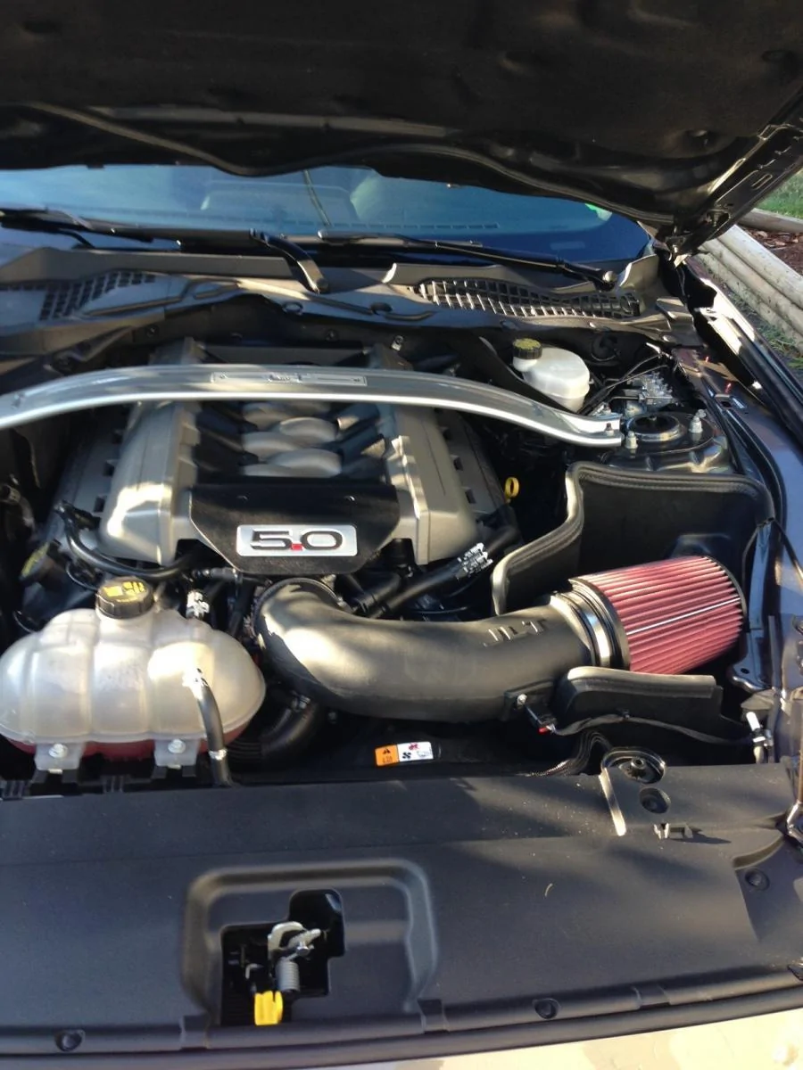 image1.webp