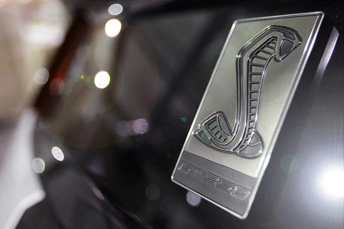 procharger_supercharger_boost_mustang_shelby_gt350_snake.webp