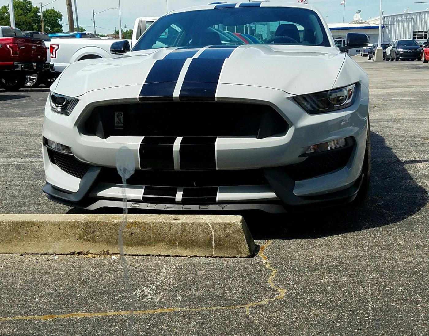 Front.jpg