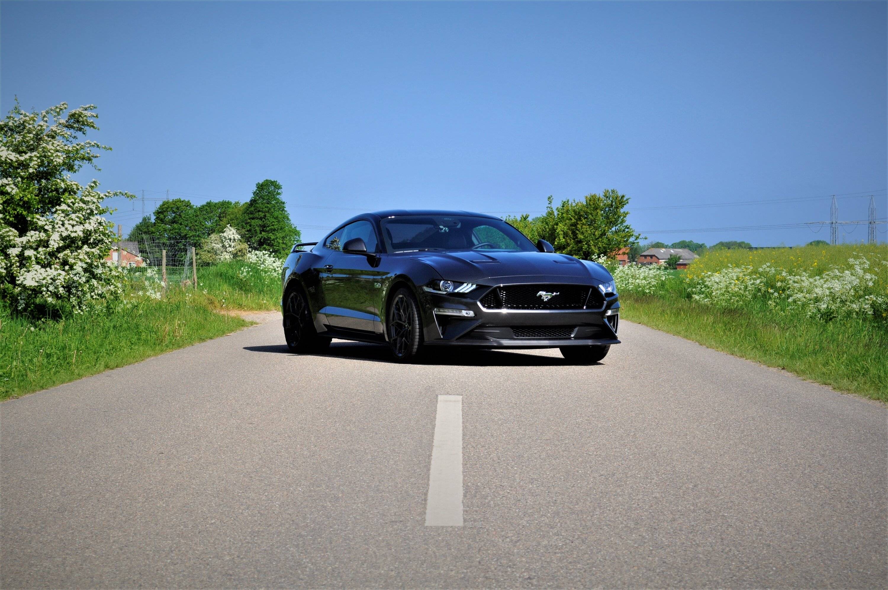_DSC0586 (TEST).jpg