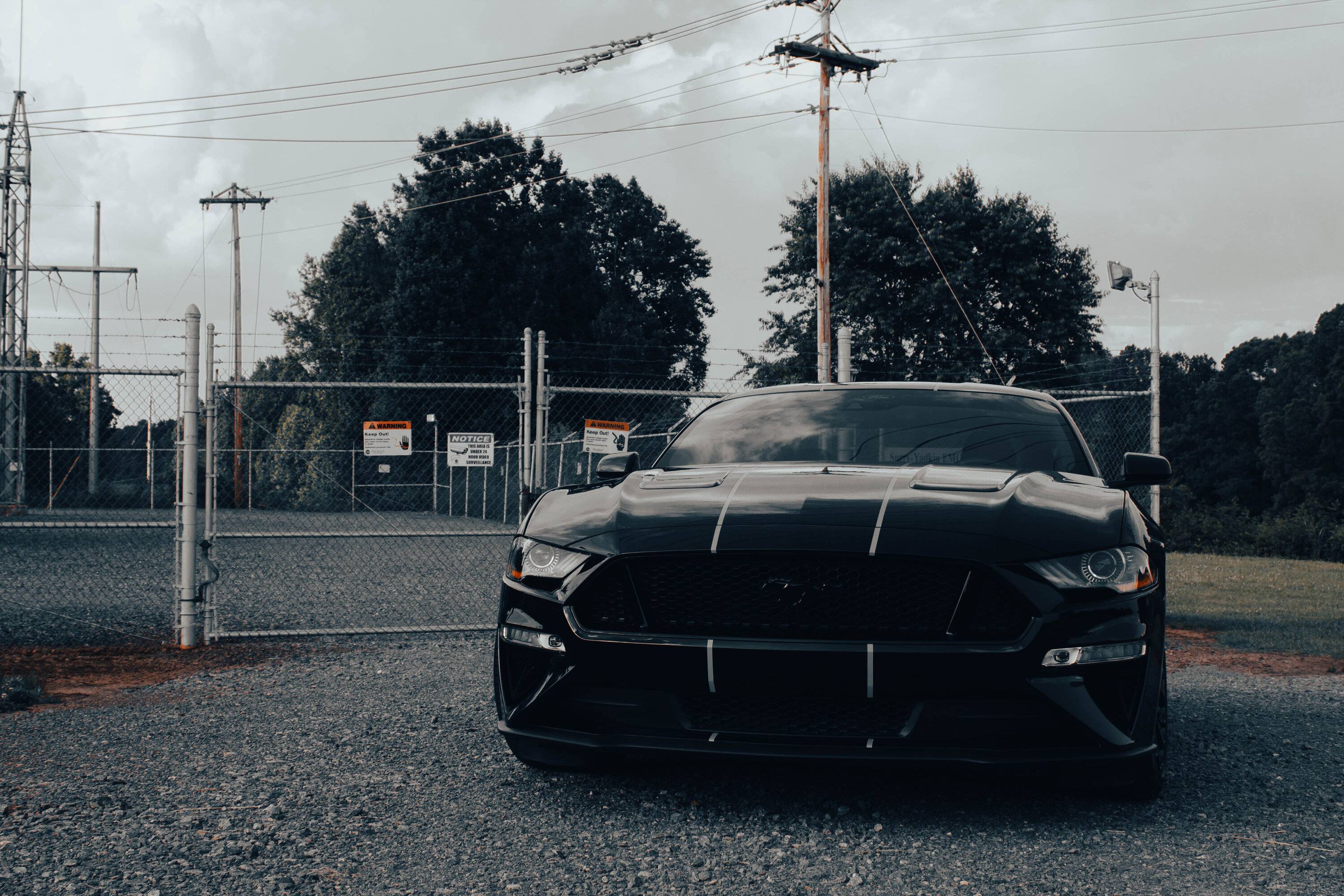 B1CC01E8-7C45-459C-B1E9-7957C5646166.jpeg