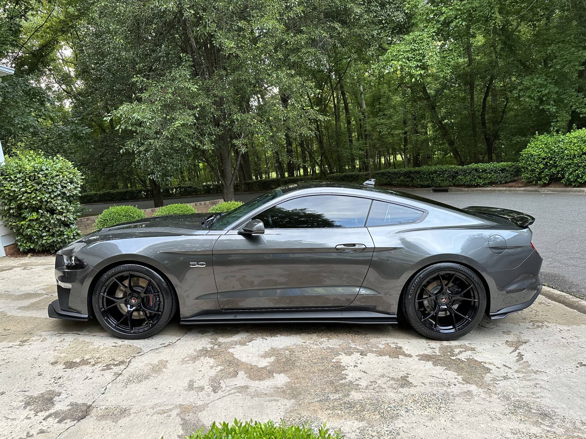 Mustang 1.jpg