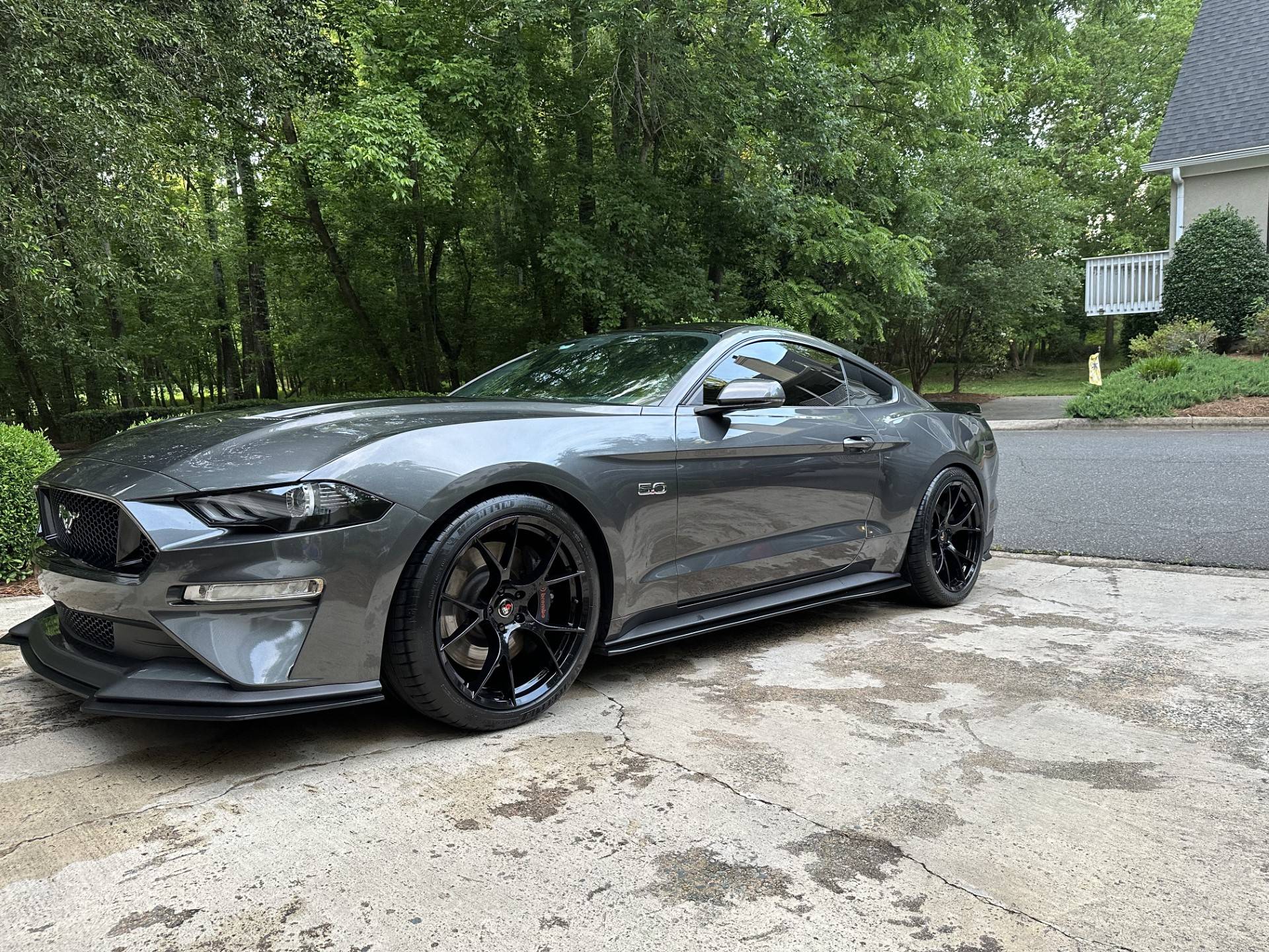 Mustang 2.jpg